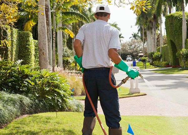 About Barnes KS Pest Control
